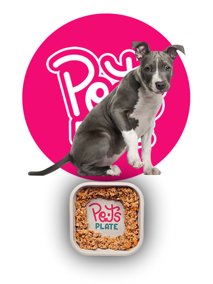 beefantasticreceta-premium-alimento-para-mascotas