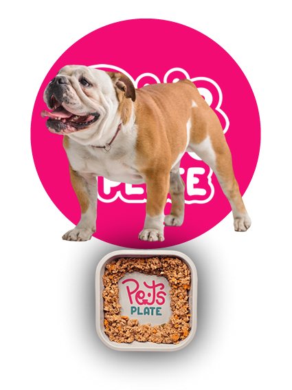 turkeylicious-receta-premium-alimento-para-mascotas