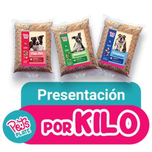 Producto Demo