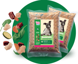 pets-plate-mascotas-felices-alimento-calidad-humana-bolsas-beefantastic-landing