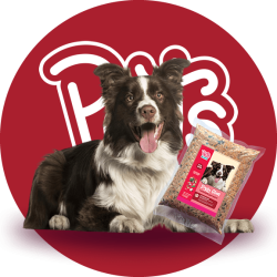 pets-plate-mascotas-felices-alimento-calidad-humana-bolsas-piggy-glam-1-kg-2